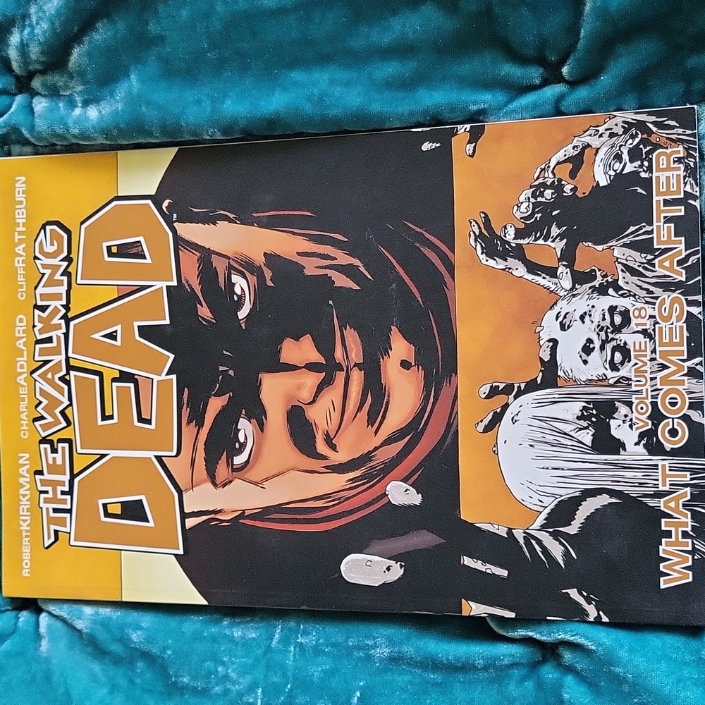 The Walking Dead Vol 18 What Comes After Image Comics Robert Kirkman